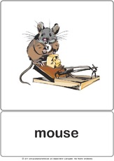 Bildkarte - mouse.pdf
